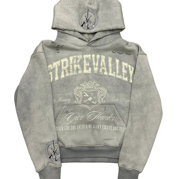 Gray hoodie with branding on a gray background