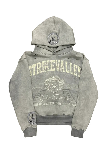 Gray hoodie with branding on a gray background
